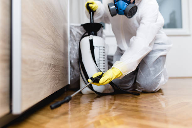 Best Pest Prevention Services  in Pleasanton, CA