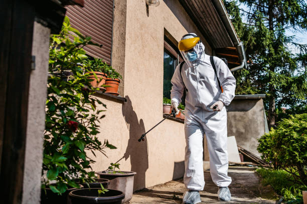 Best Mosquito Control Services  in Pleasanton, CA