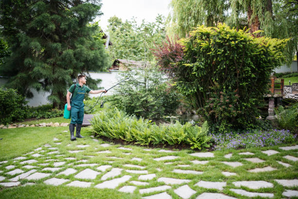 Best Spider Control Near Me  in Pleasanton, CA