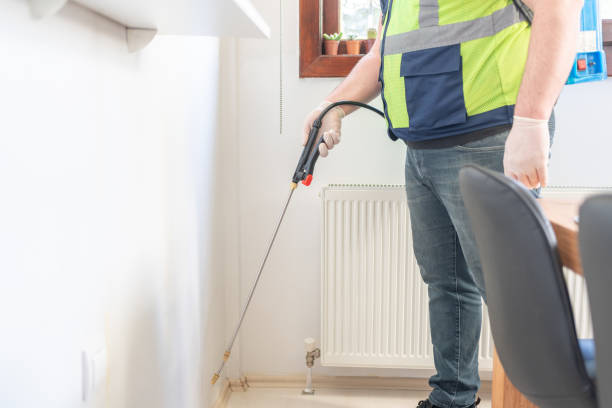 Best Ant Control Services  in Pleasanton, CA