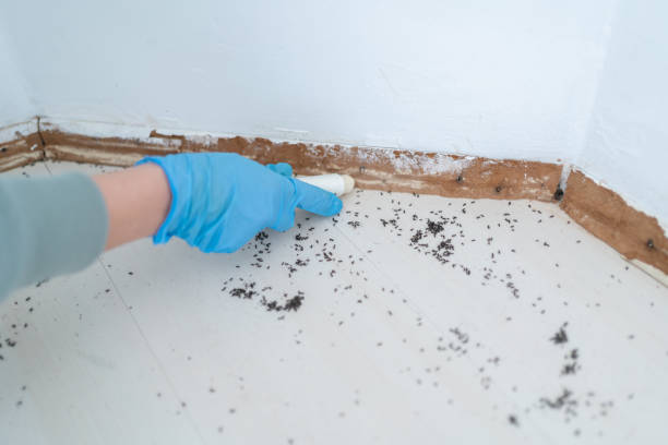 Best Best Pest Control Companies  in Pleasanton, CA